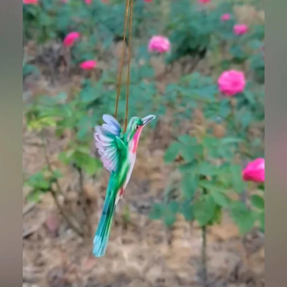 N/A one hummingbird