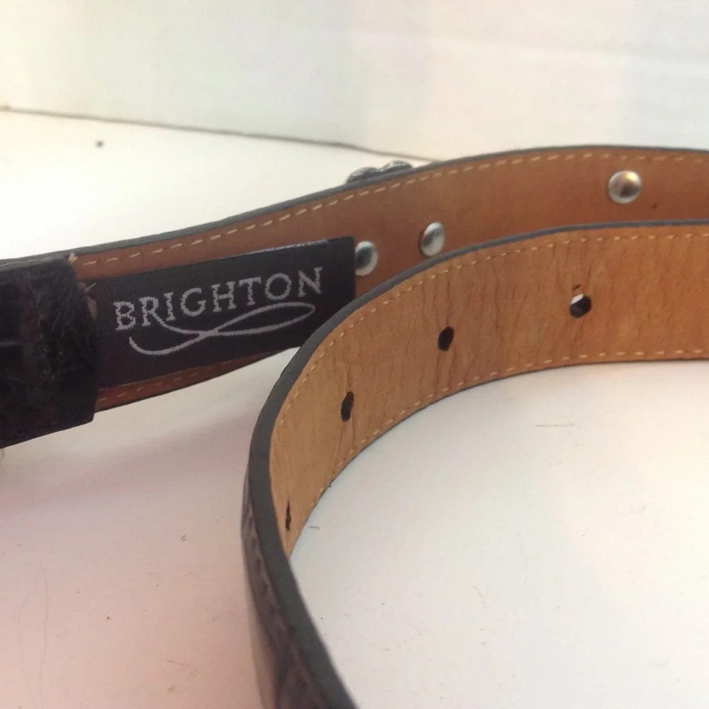 Brighton will fit