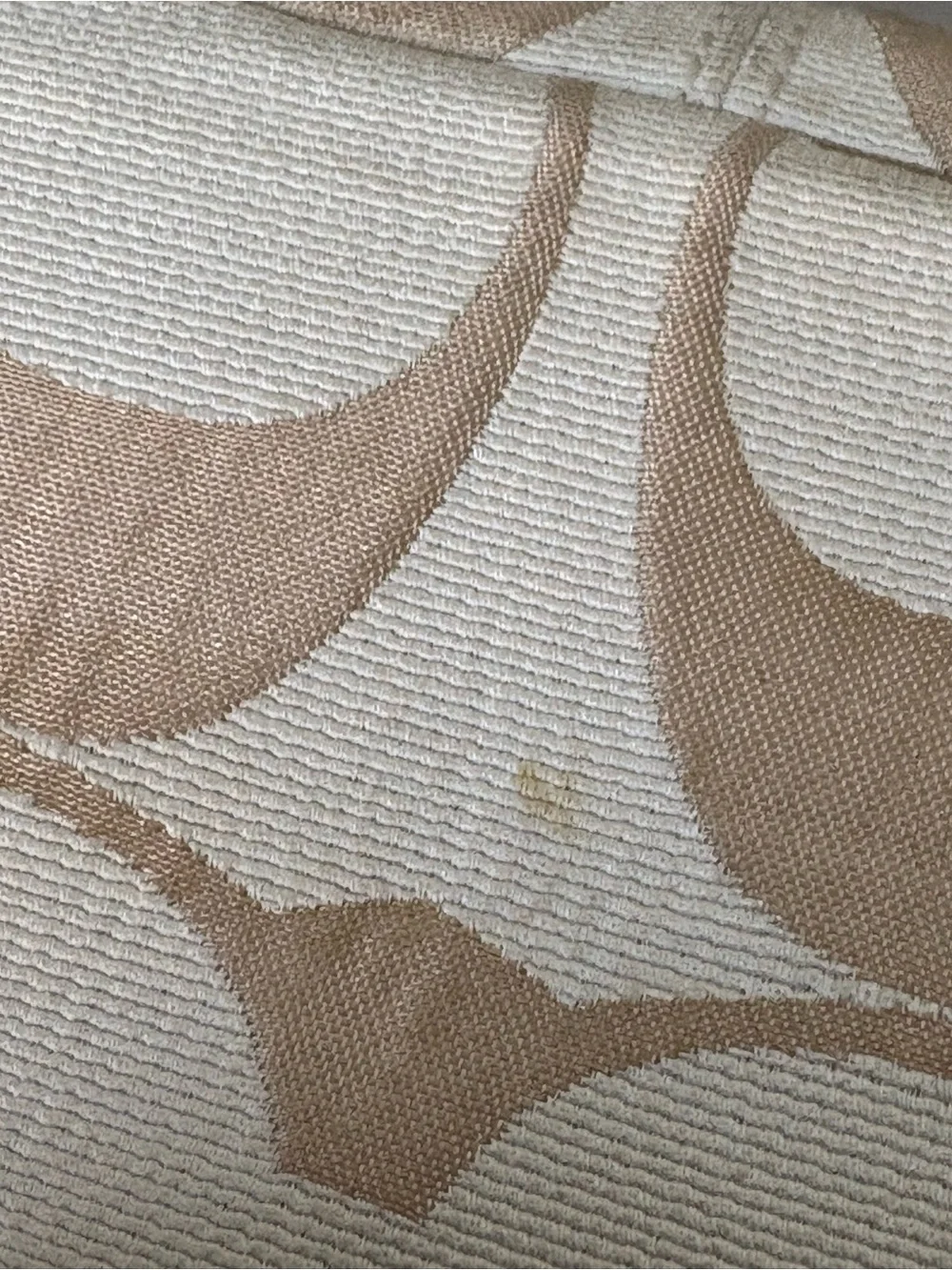 Coach signature print
