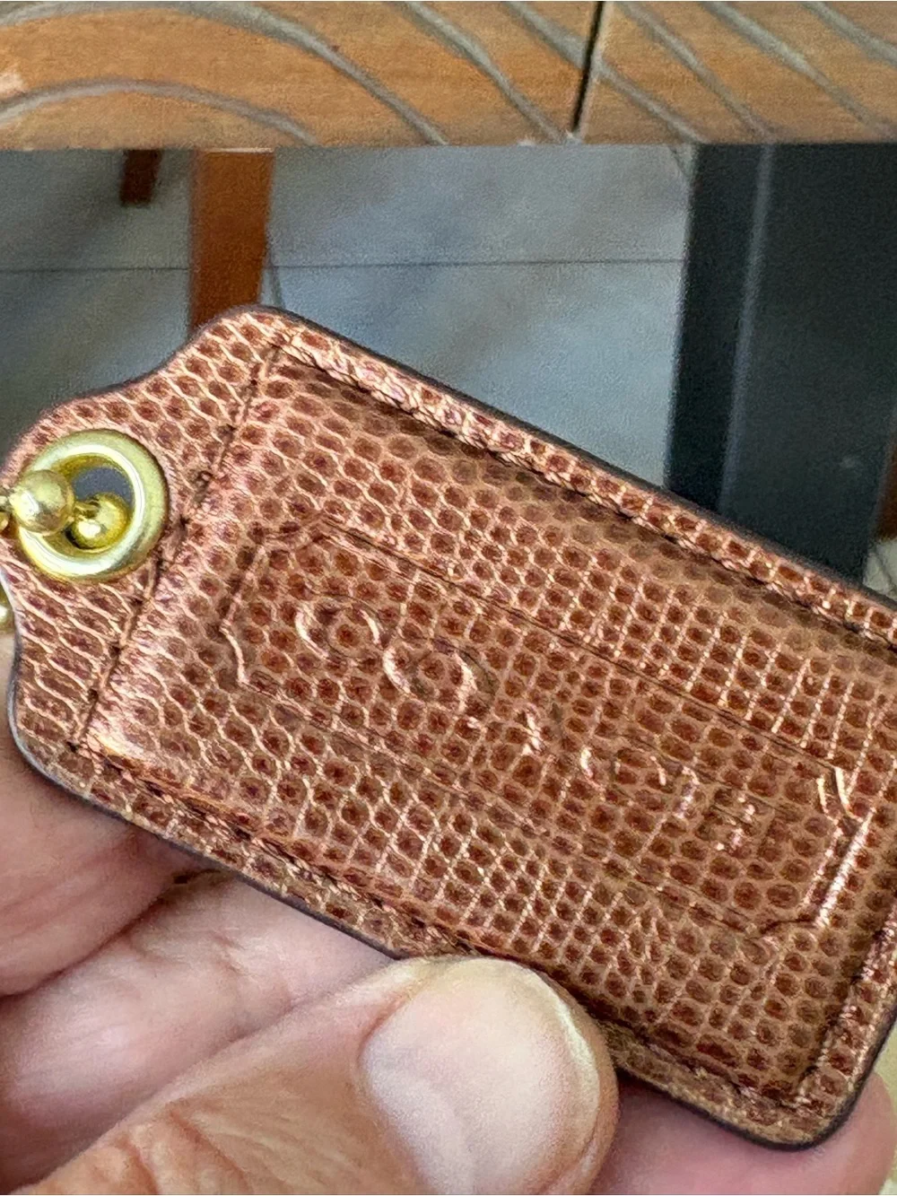 Coach signature print