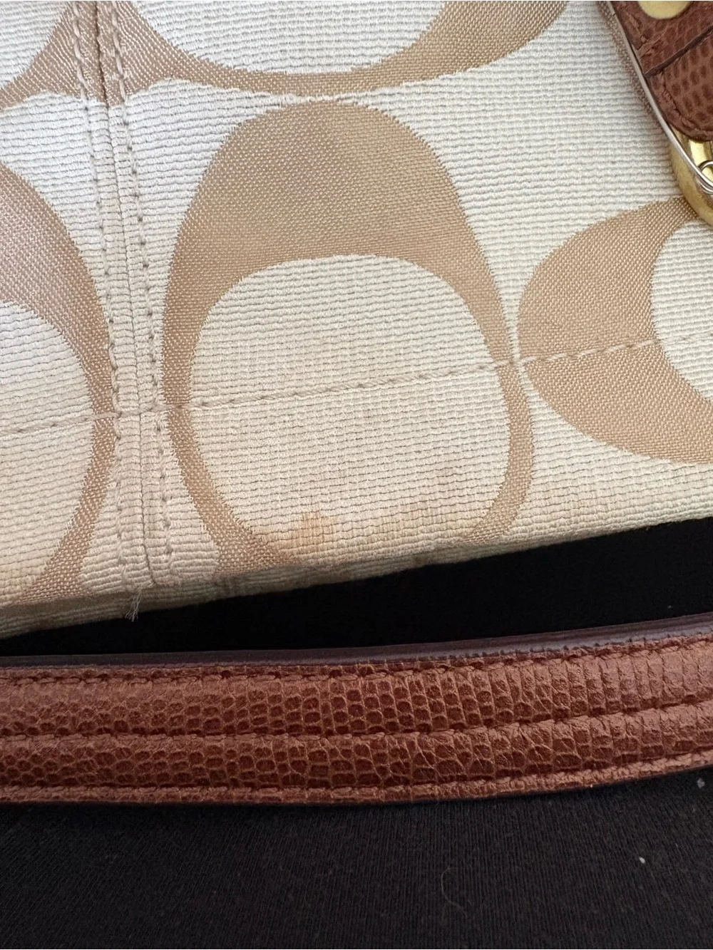 Coach signature print