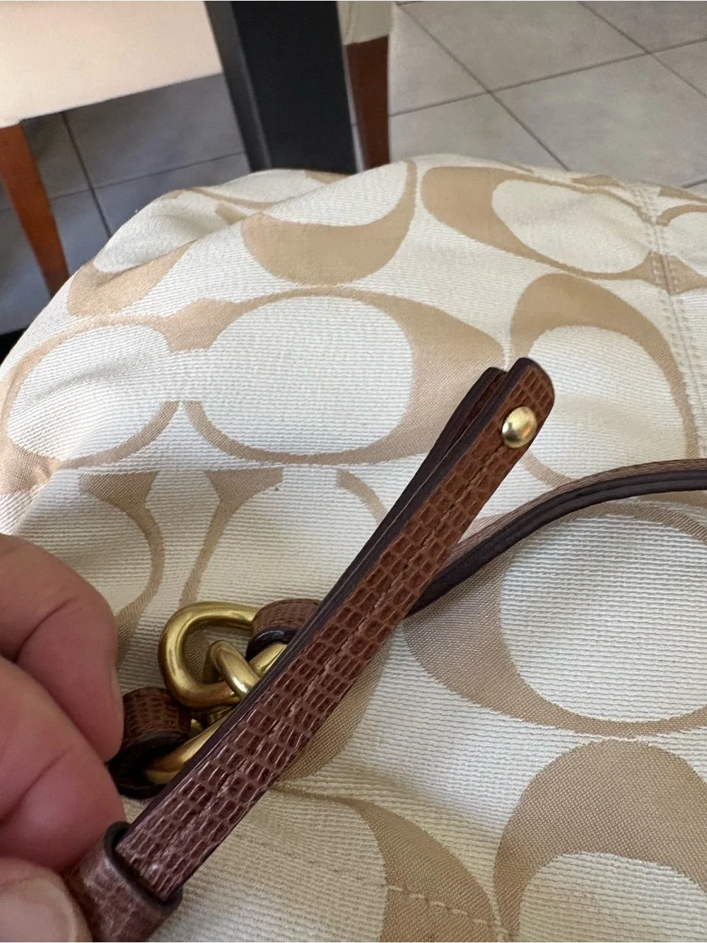 Coach signature print