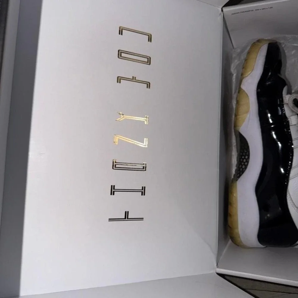 Jordan air 11