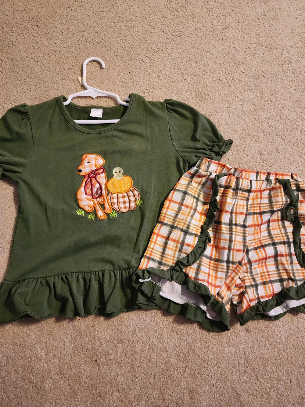 Girls Green And Orange Dog Pumpkin Outfit.