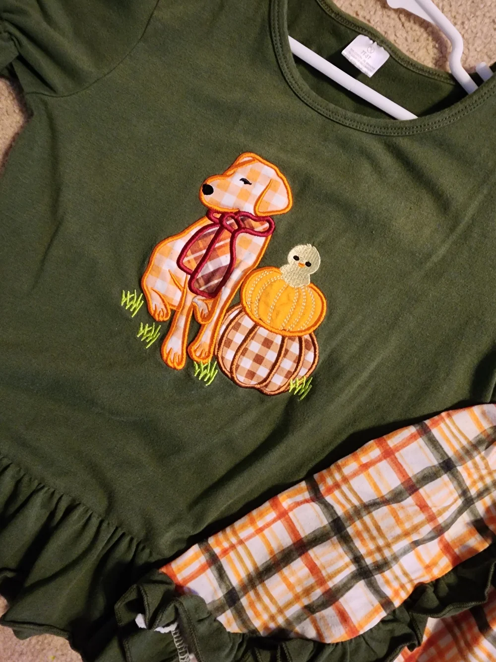 Girls Green And Orange Dog Pumpkin Outfit.