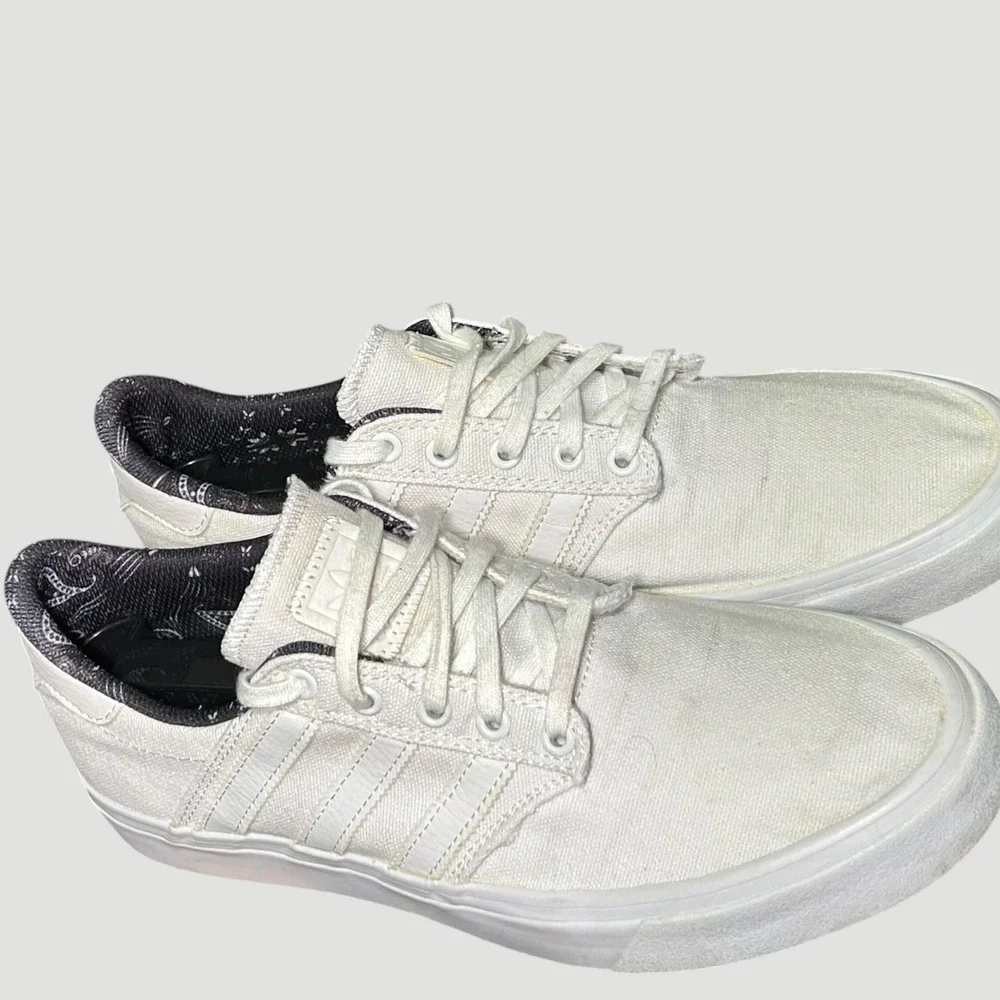 adidas seeley skateboarding