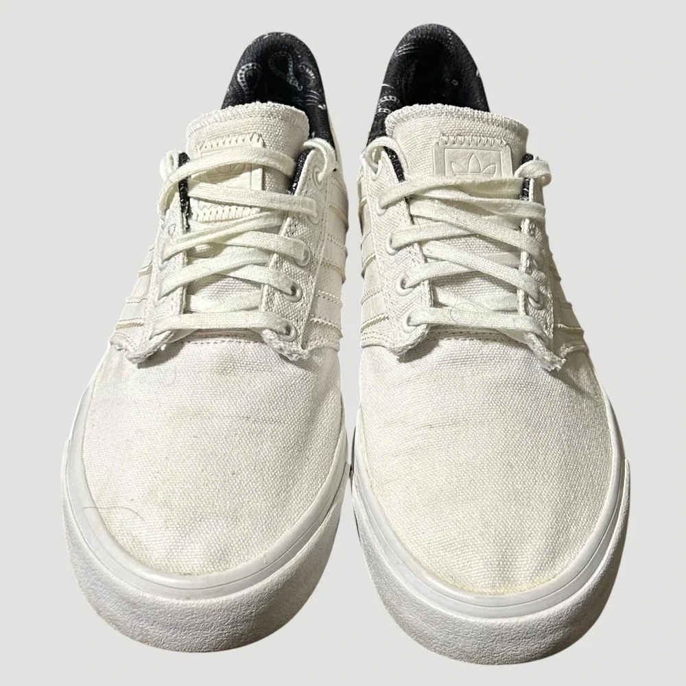 adidas seeley skateboarding