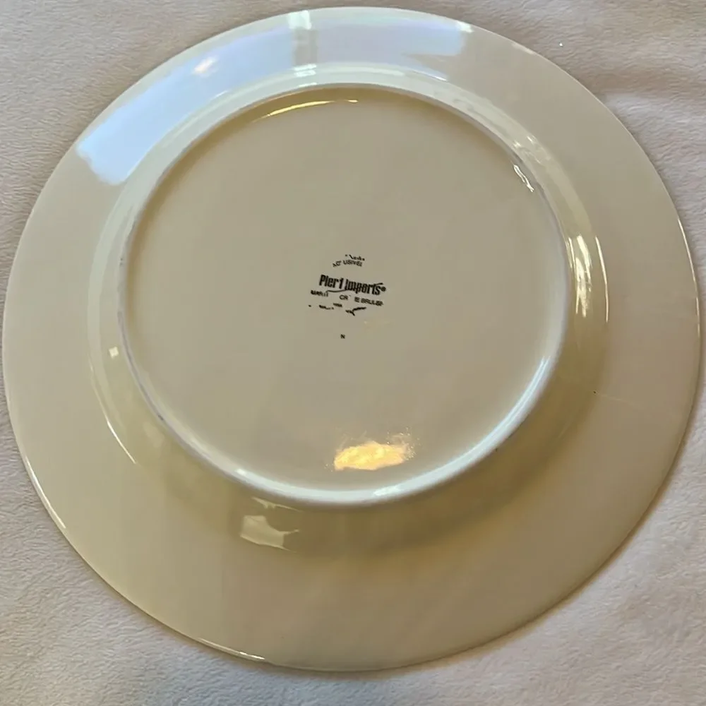 Martillo Pier 1 Imports Martillo Creme Brulee One 11 Inch DINNER Plate Beige