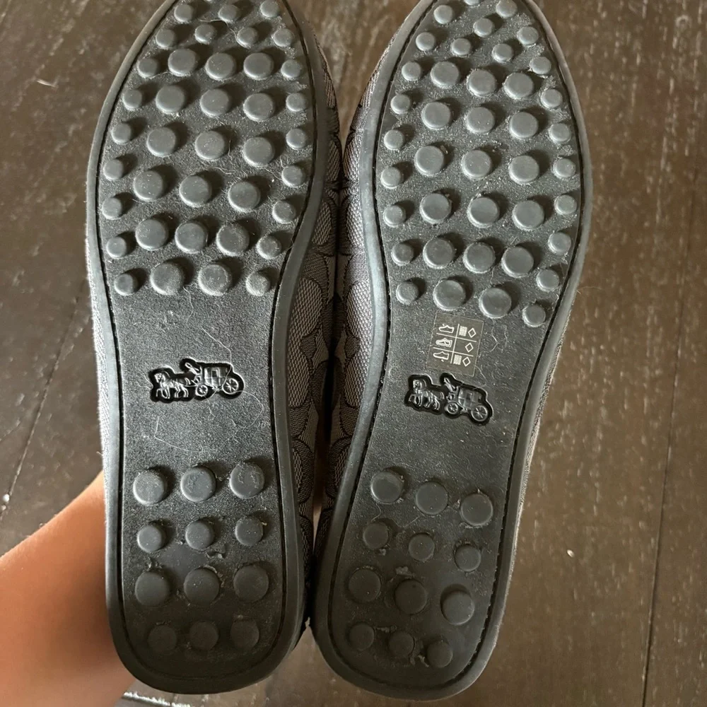 Coach wear money size