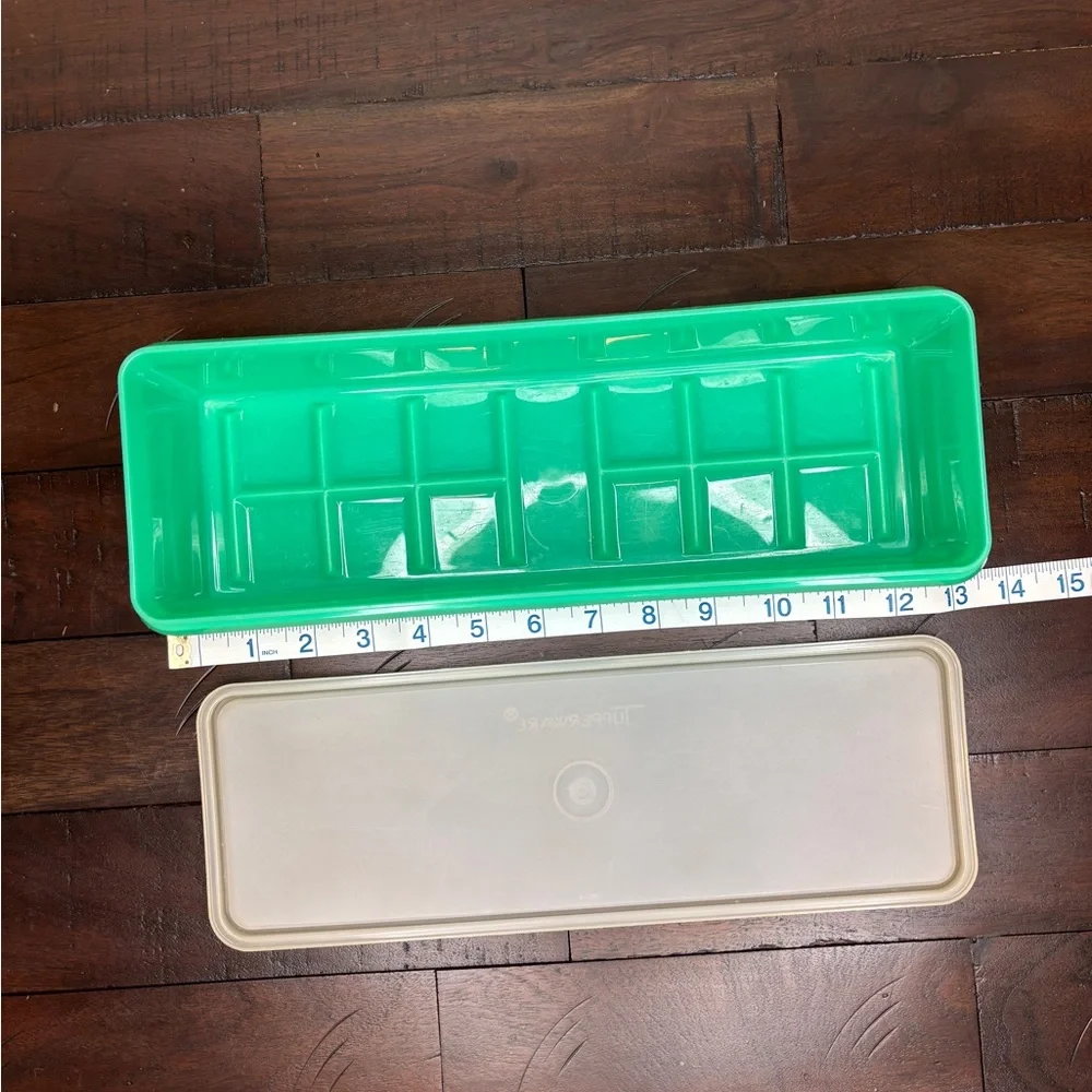 Tupperware celery keeper