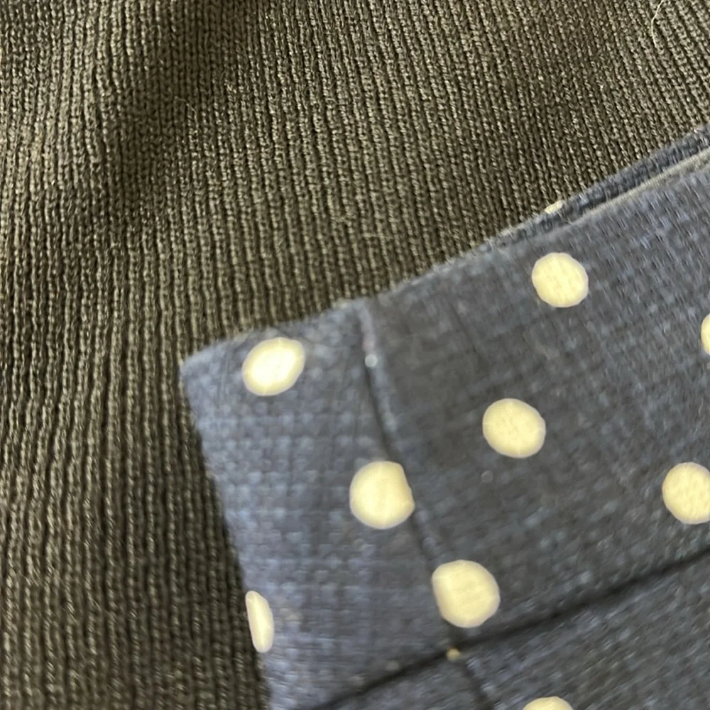 J. Crew Factory Polka Dot Shorts Navy Blue and White 6