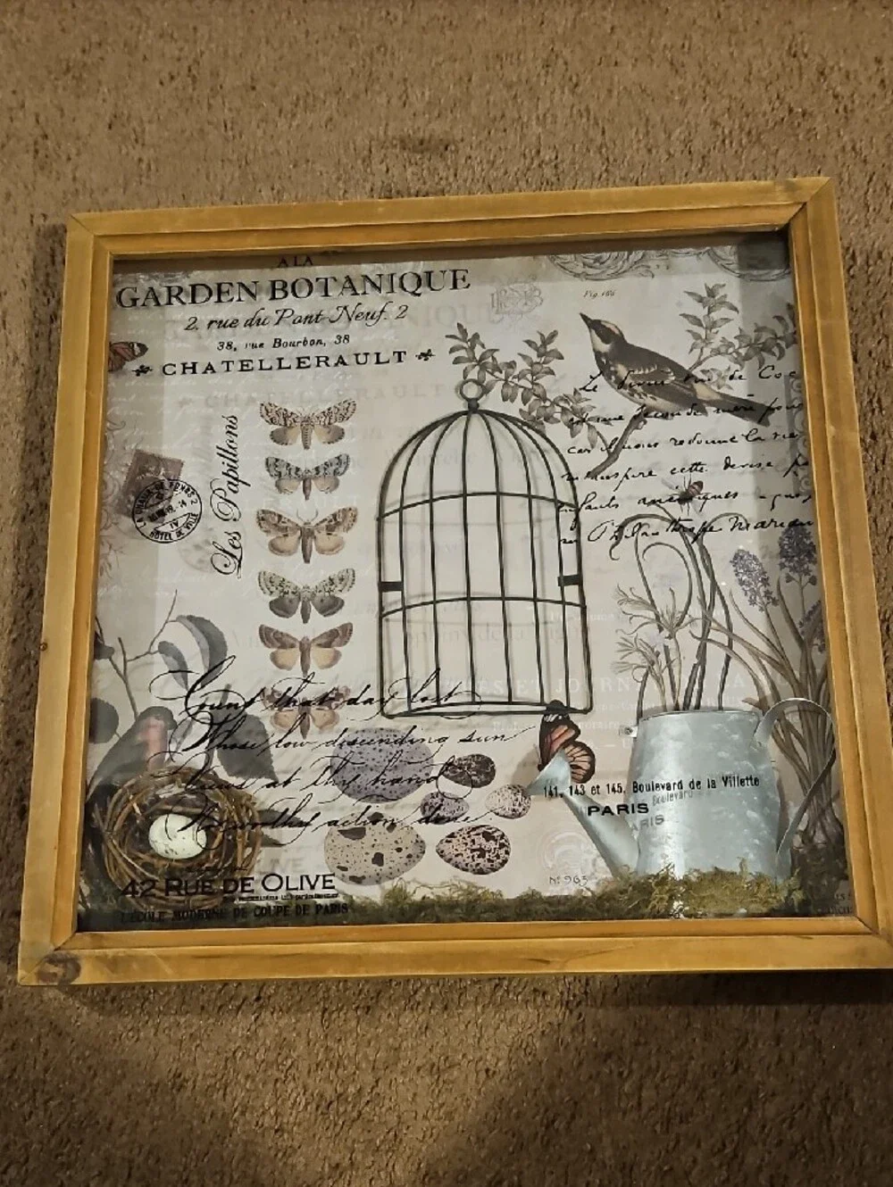 Pier 1 framed botanical