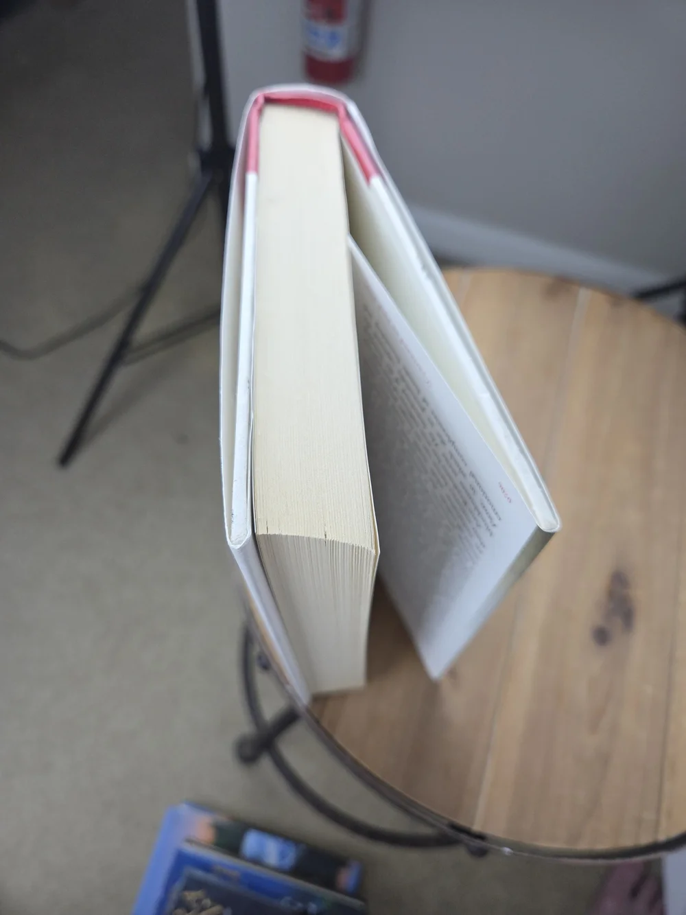 Hardback ..Ann Brashares 