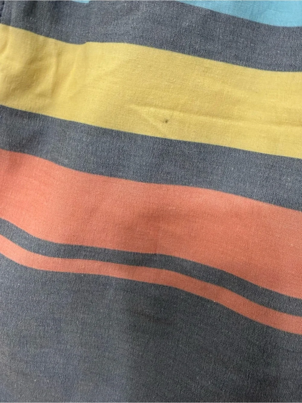 chubbies men swim