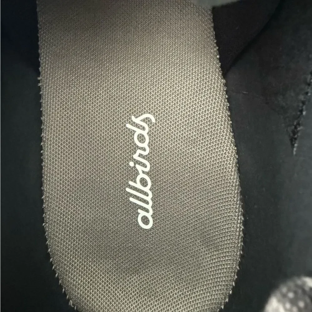 allbirds brand model