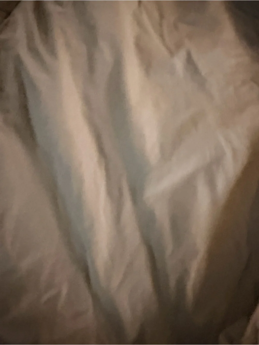 N/A nylon joggers