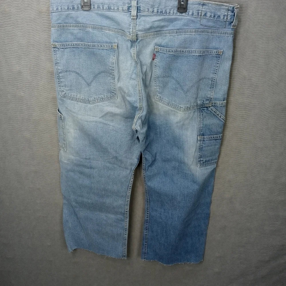 Levis levi loose