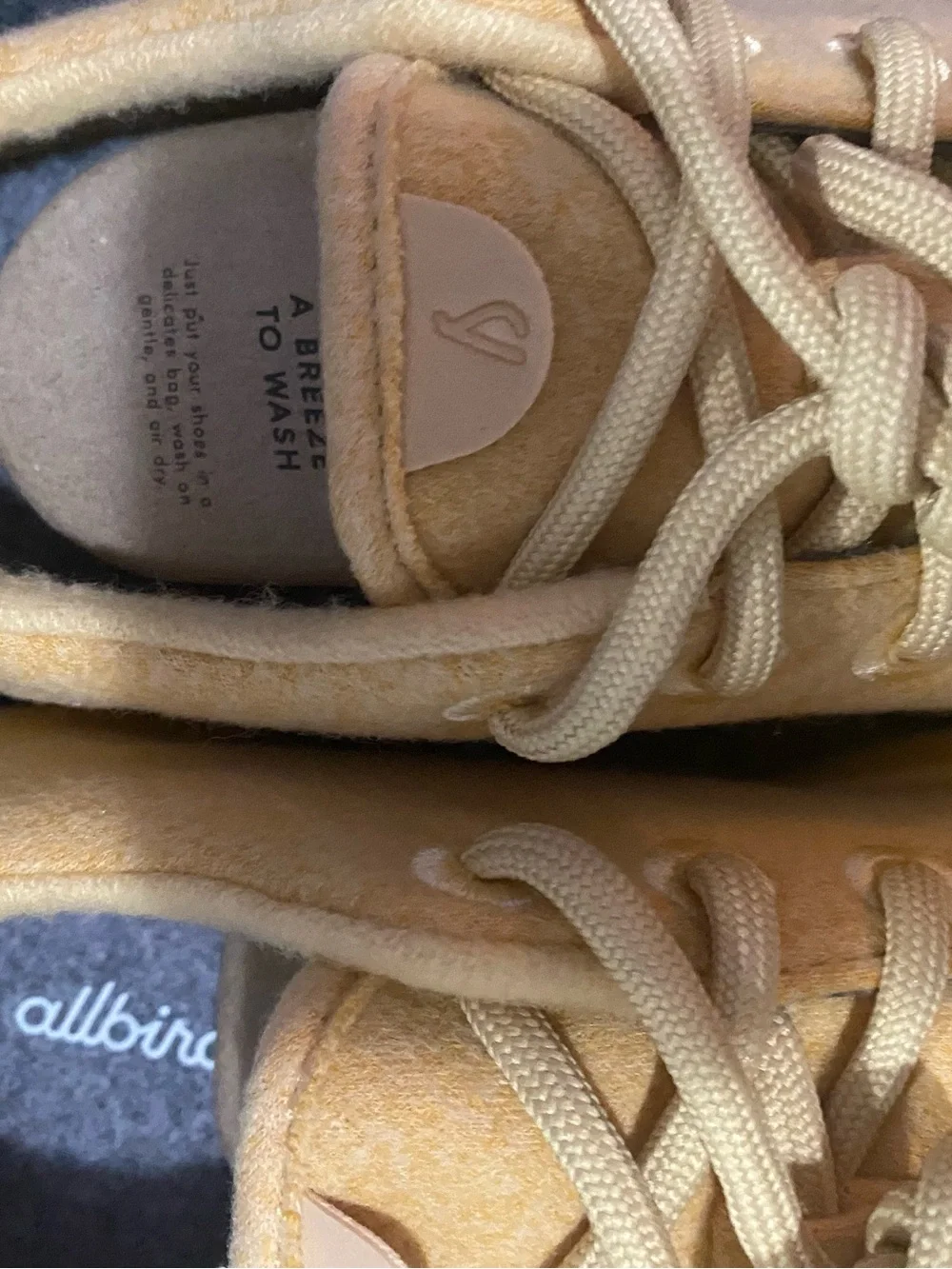 allbirds box available