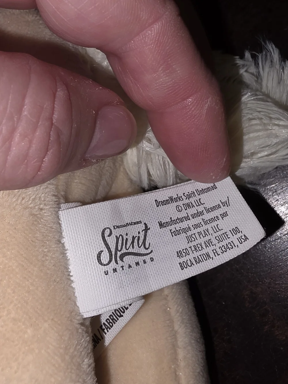 Dreamworks soft spirit