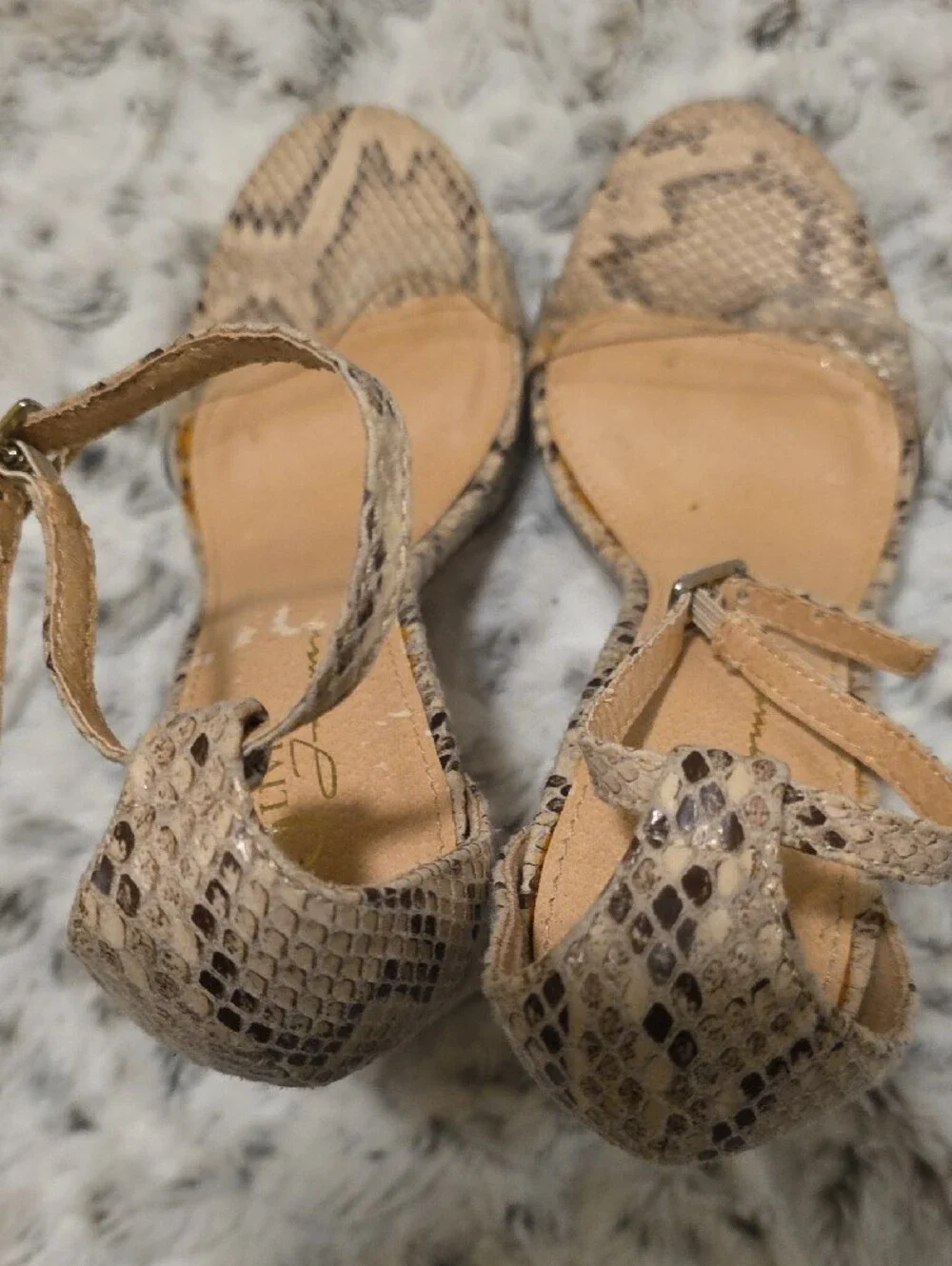 Olivia Ferguson chic snake