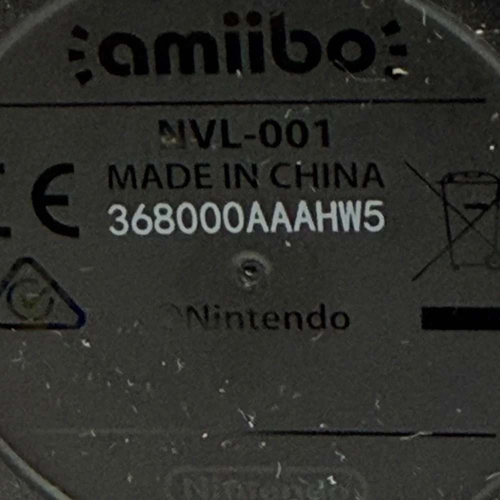 Nintendo capture your