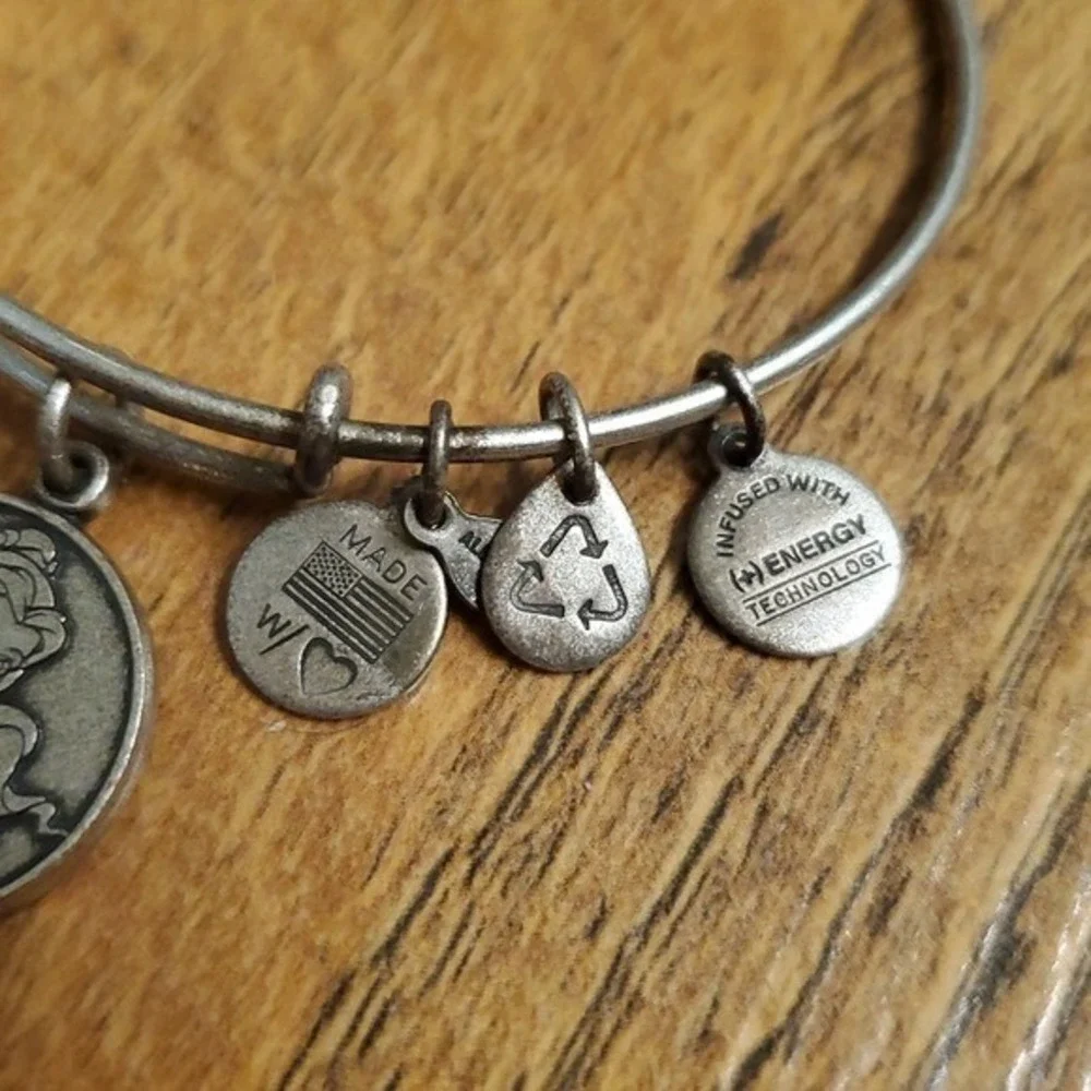 Alex and Ani disney princess