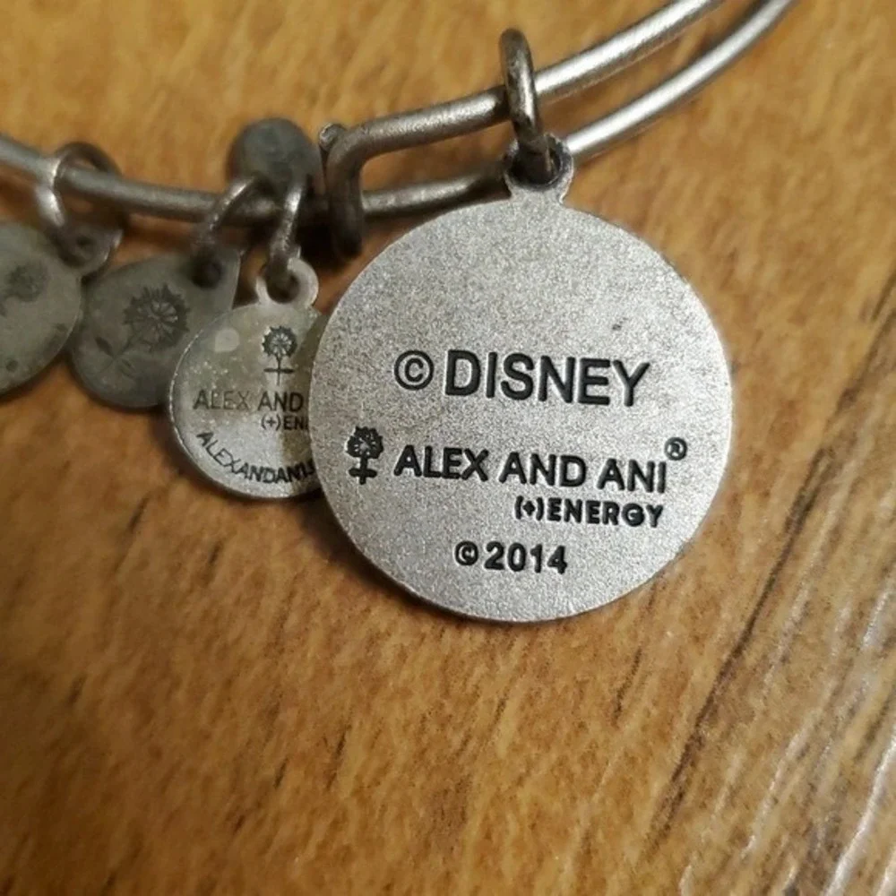 Alex and Ani disney princess