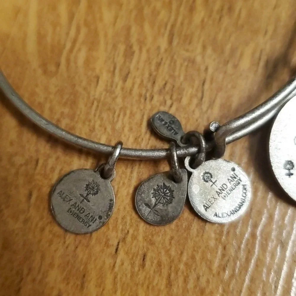 Alex and Ani disney princess