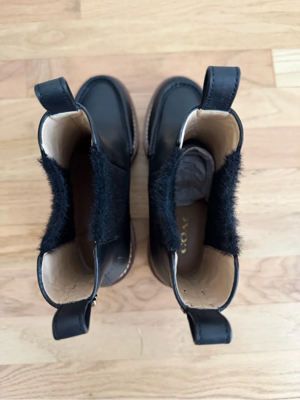 Coach delaney booties