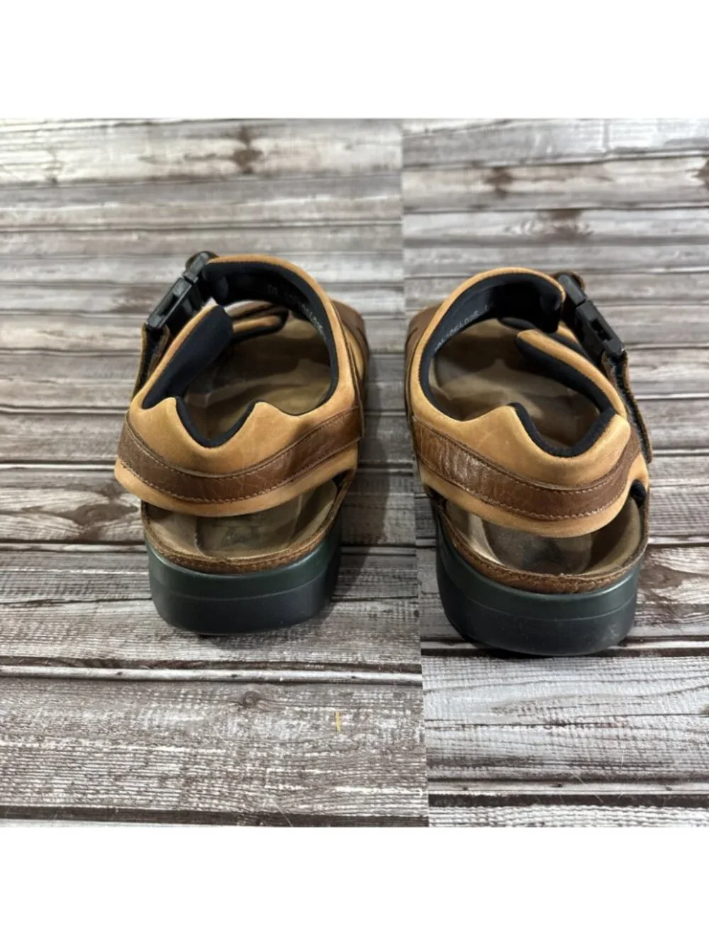 Mephisto 12 shark