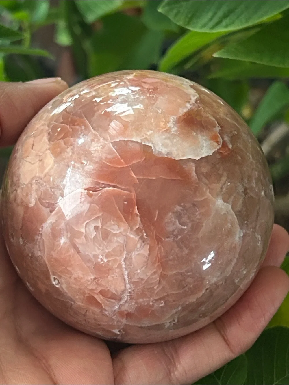 N/A smooth peach