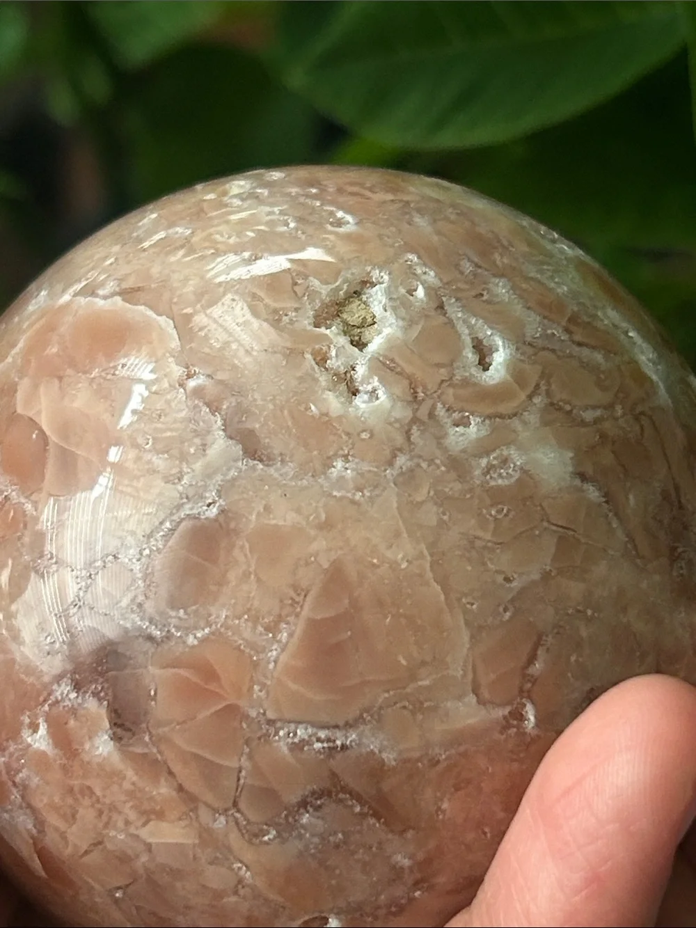 N/A smooth peach