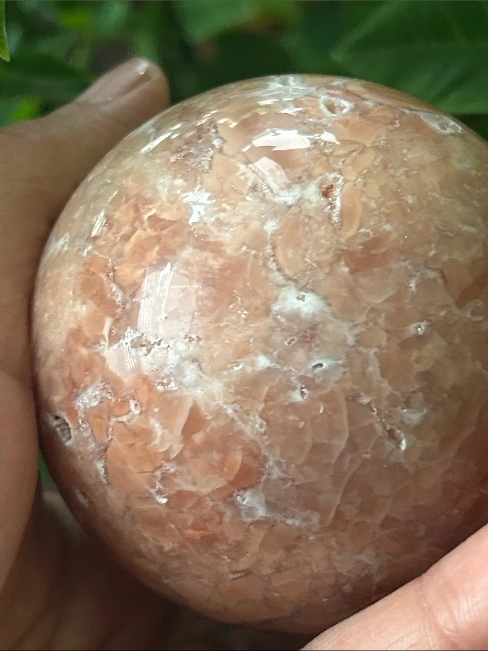 N/A smooth peach