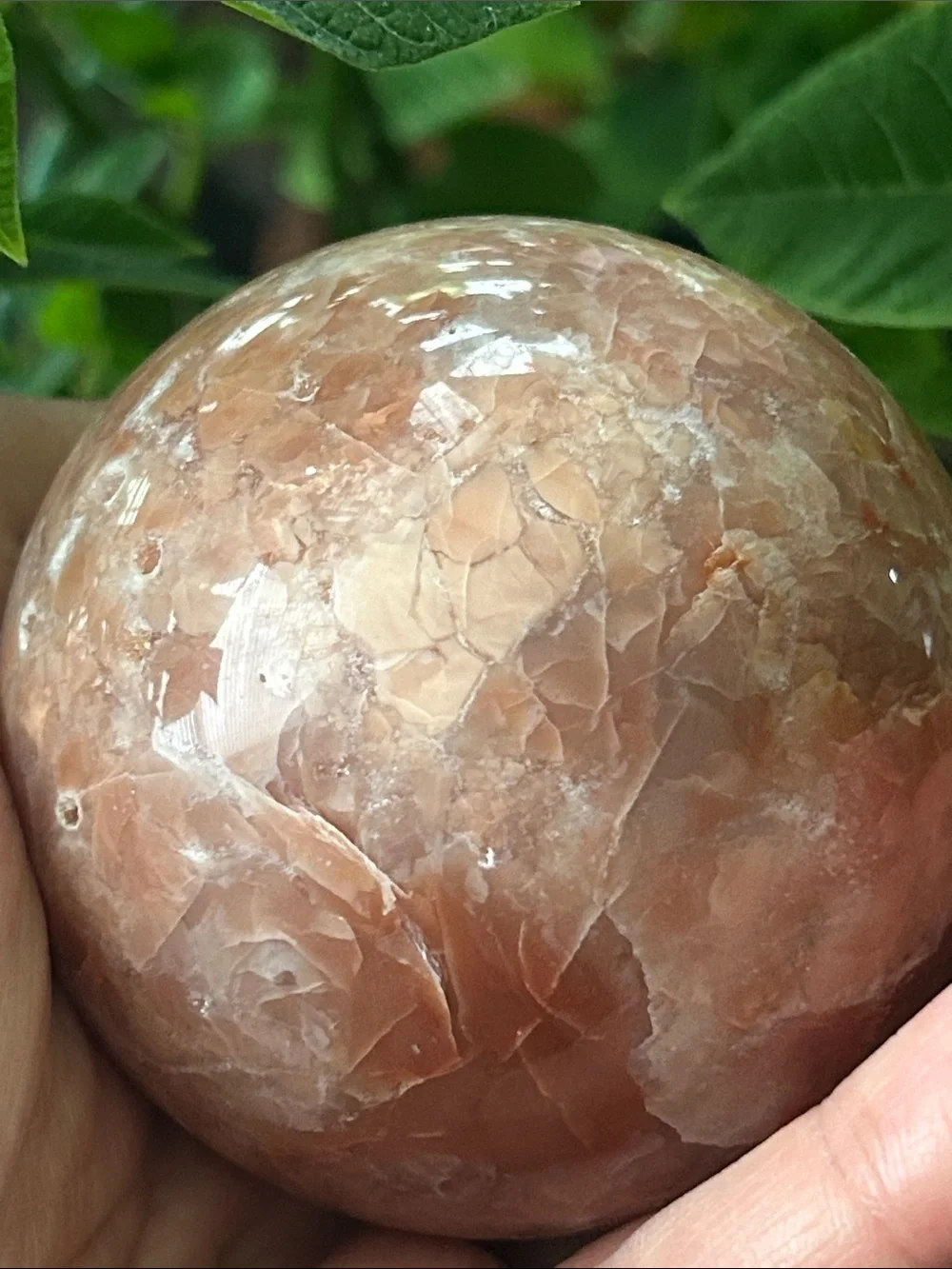 N/A smooth peach