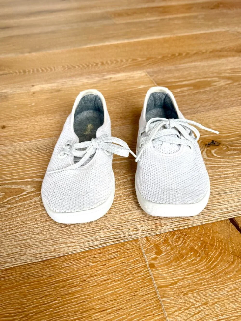 allbirds brand model