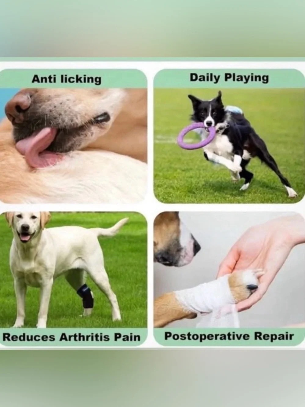 Dog Rear Hock Brace GenetGo Small S Adjustable Ankle Joint Support 1 Count