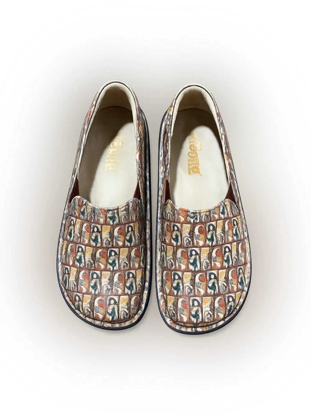 Alegria DEB-7605 Women’s‎ Slip On Comfort Clogs Shoes EU 37 US 6.5 7 Art Print
