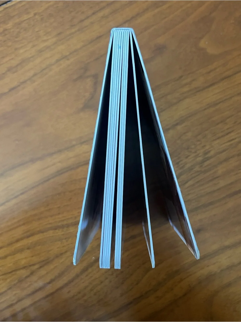 Lovevery book - My First Signs