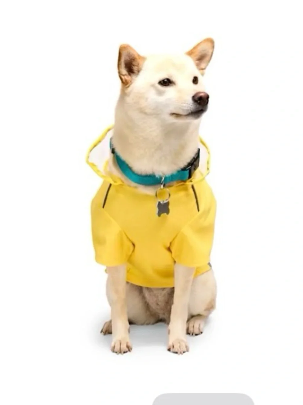 Youly waterproof yellow