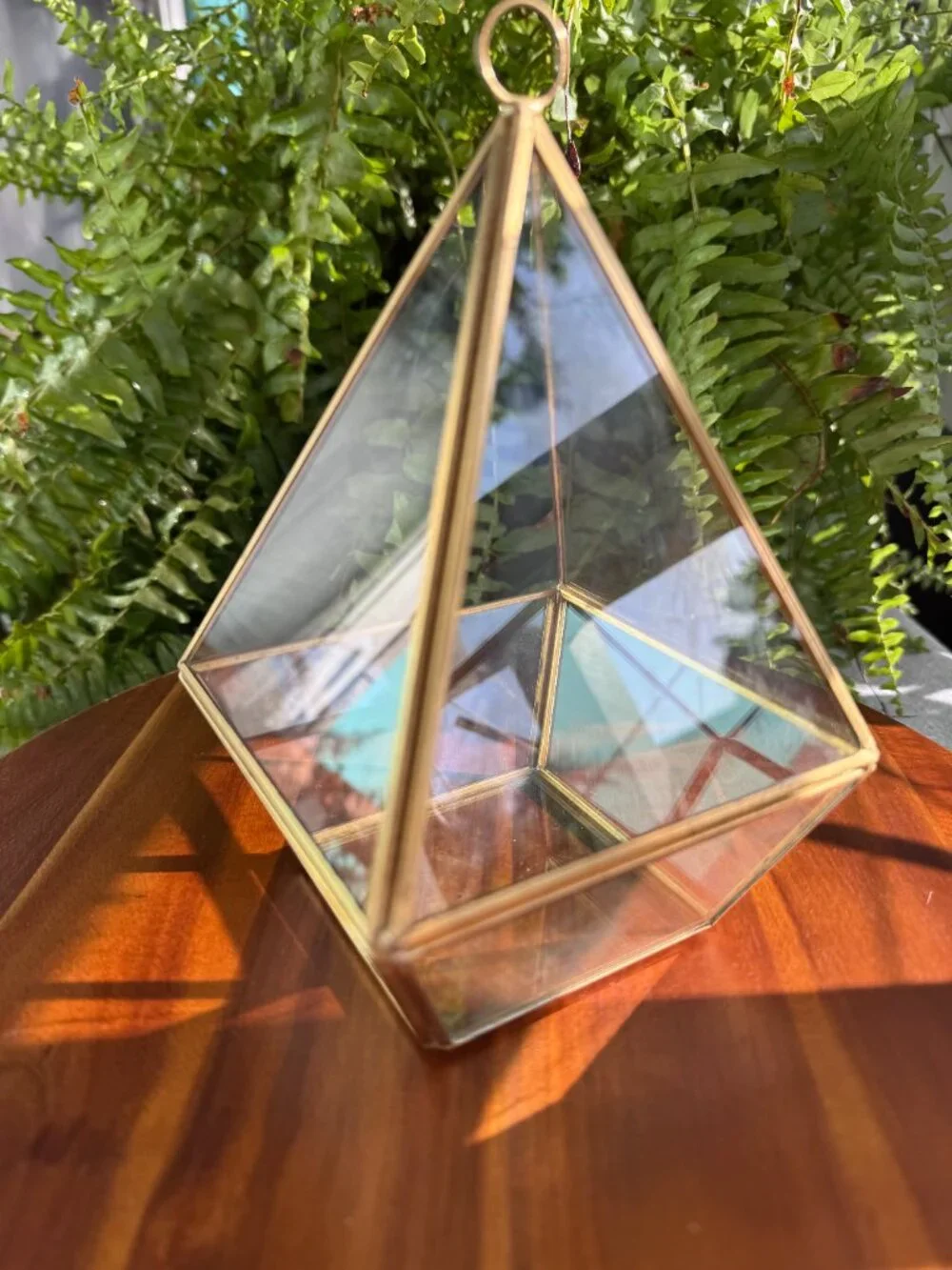 Geometric Glass Brass Planter, Tall Terrarium Container for Plants with Hook