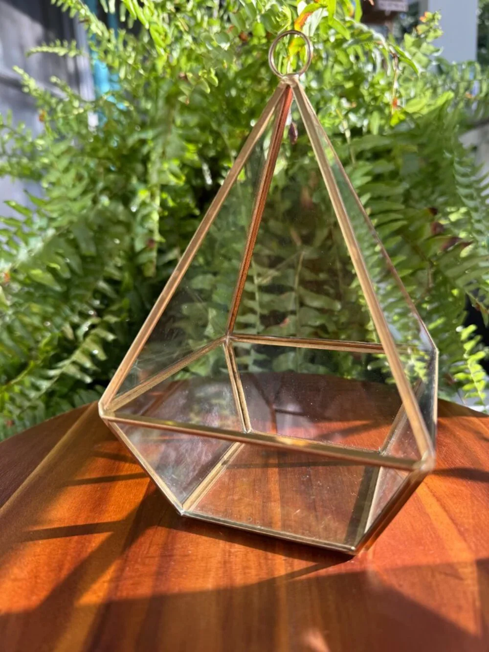 Geometric Glass Brass Planter, Tall Terrarium Container for Plants with Hook