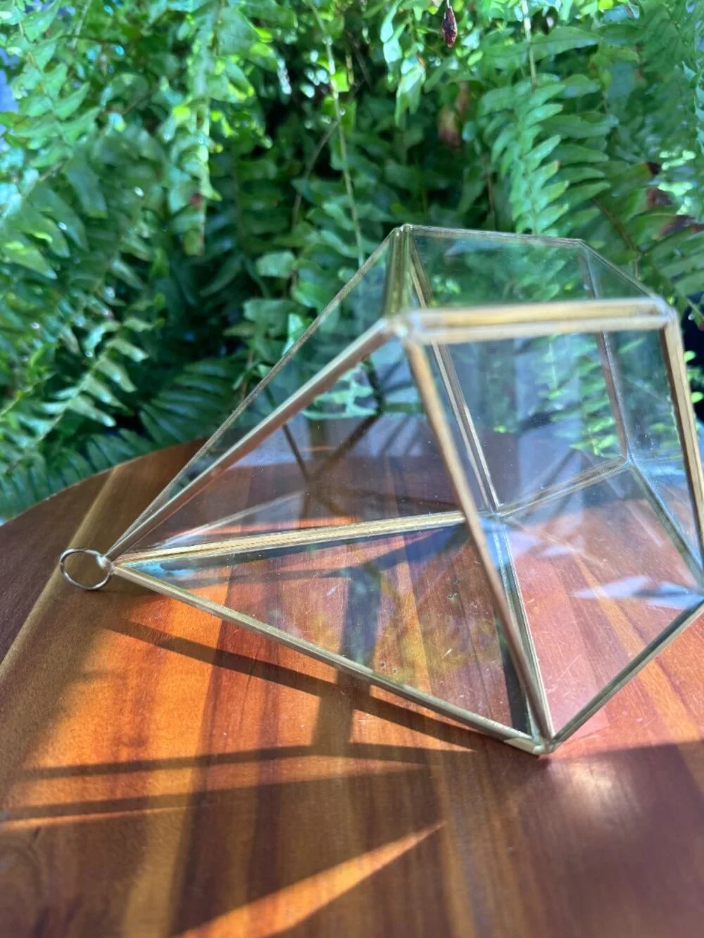 Geometric Glass Brass Planter, Tall Terrarium Container for Plants with Hook