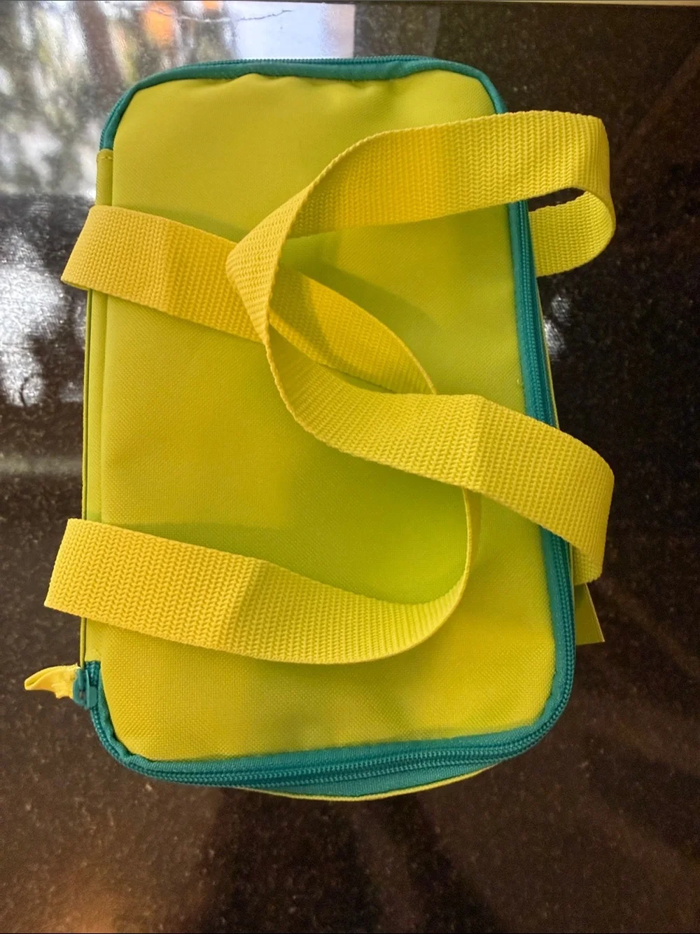 Trader Joe’s Mini Insulated Bag Lime, yellow, teal, olive