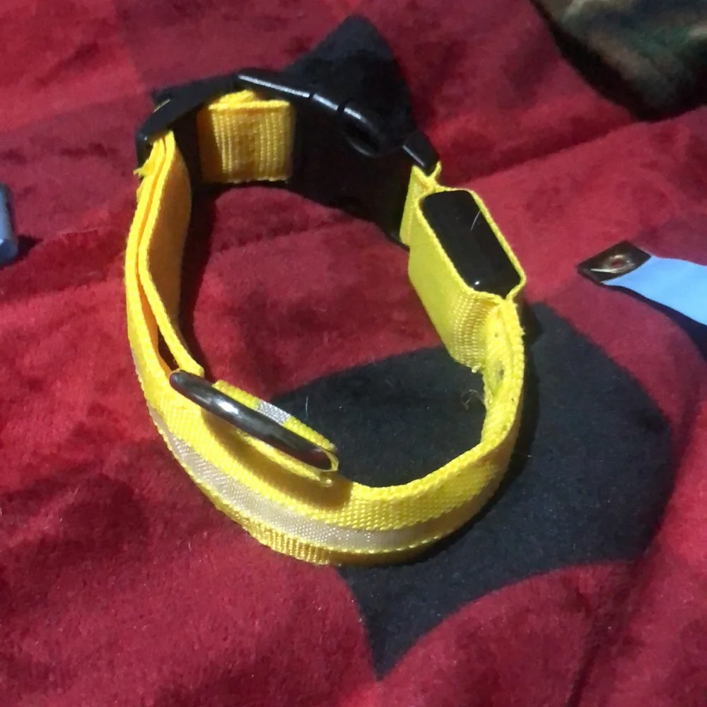 🛍Light up Dog collar‎ with ring.