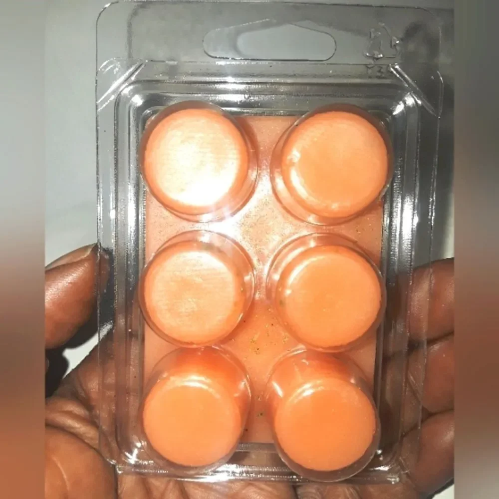 HAND crafted What a Time brand  new wax melt tarts 1pc