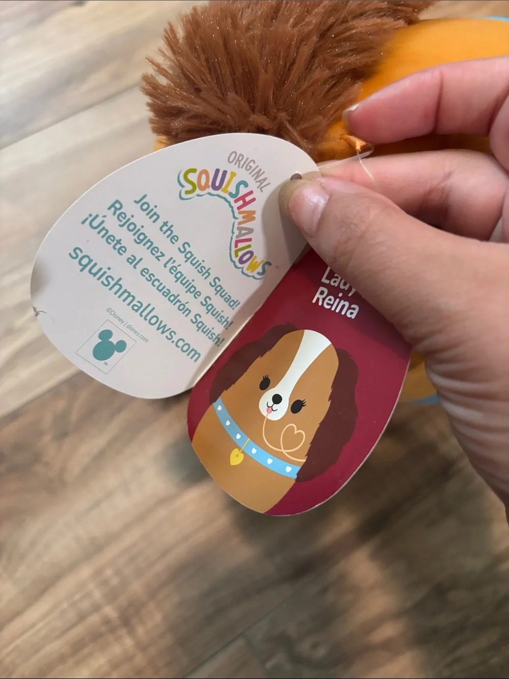Disney new tags