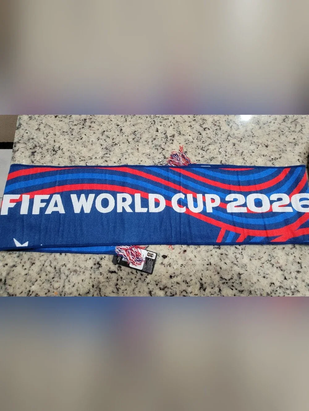 fifa world cup argentina vs