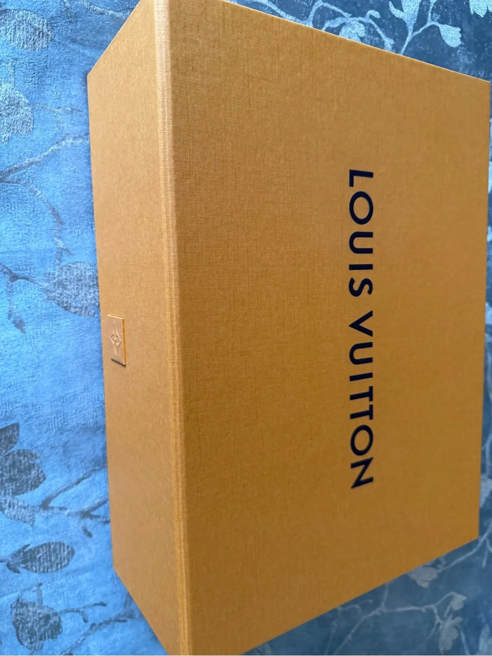 Louis Vuitton authentic louis