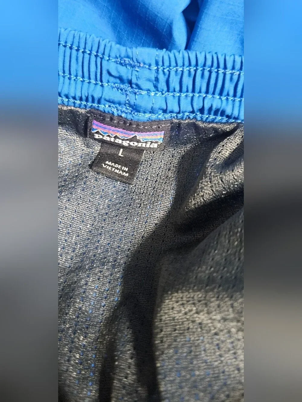 Patagonia baggies swim