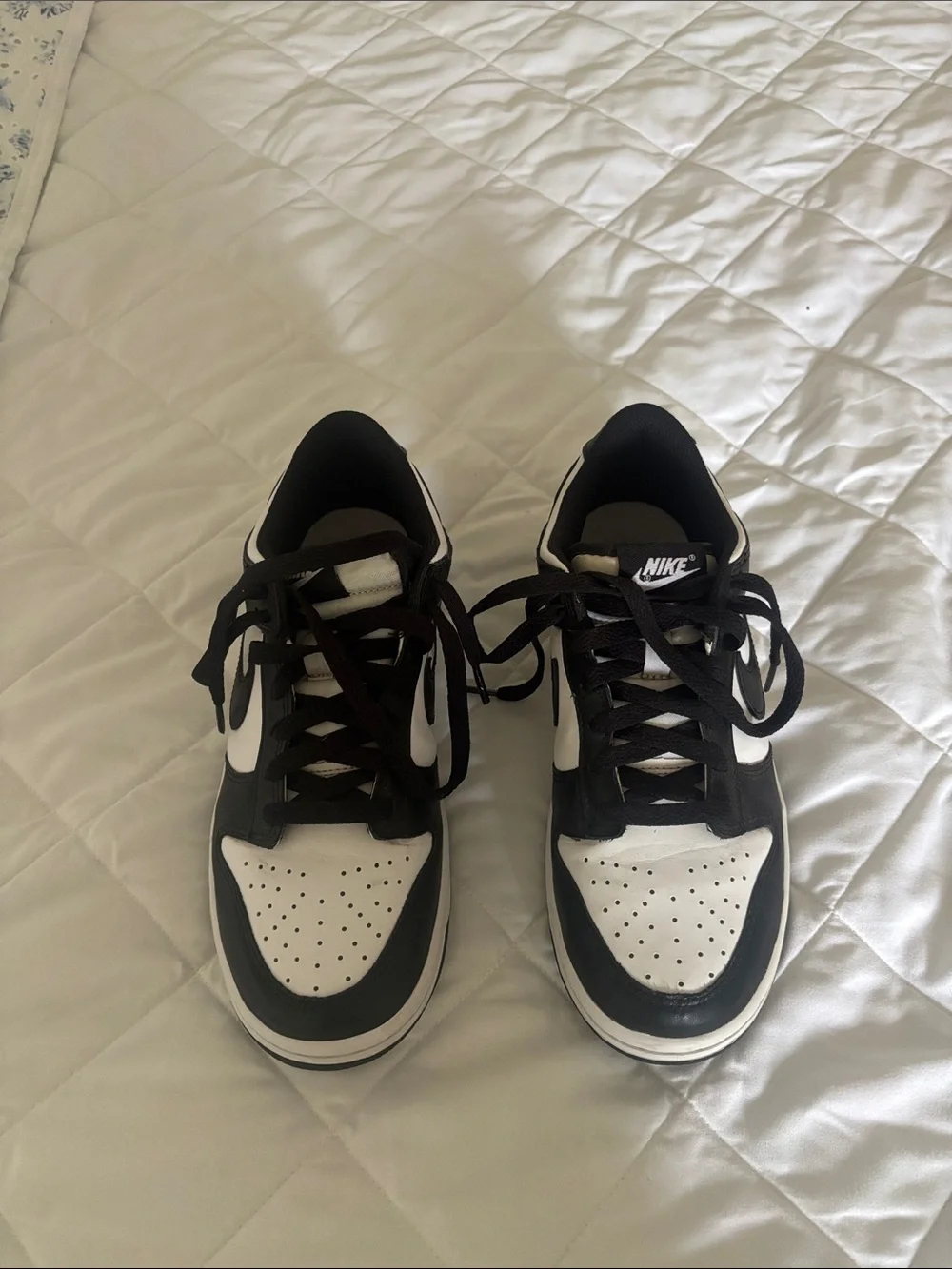 Nike Dunks Youth Sneakers